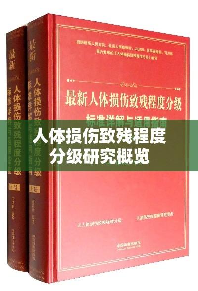 人体损伤致残程度分级研究概览  第1张