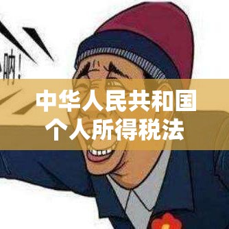 中华人民共和国个人所得税法全文深度解读  第1张