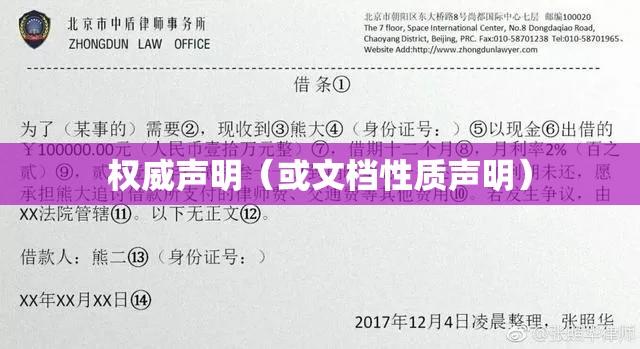 明确标明借条，文档性质的权威声明  第1张