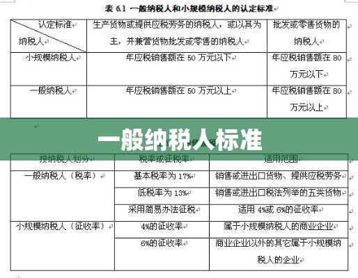 一般纳税人标准，定义、要求及其重要性解析  第1张