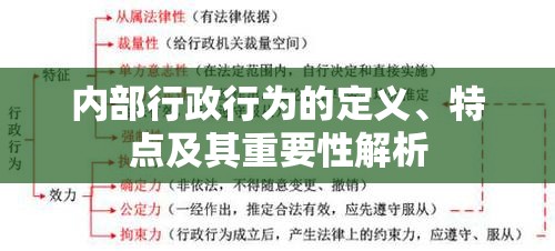 内部行政行为的定义、特点及其重要性解析  第1张