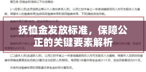 抚恤金发放标准，保障公正的关键要素解析  第1张