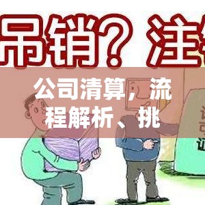 公司清算，流程解析、挑战应对与策略指南  第1张