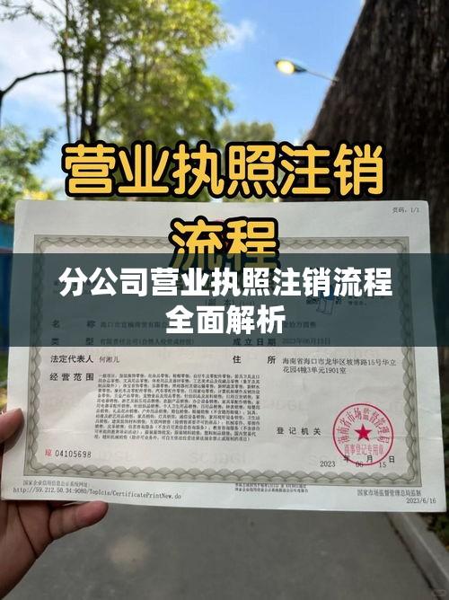 分公司营业执照注销流程全面解析  第1张