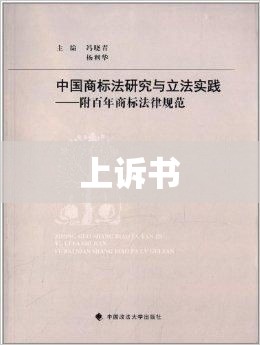 上诉书，正义的追求与法律的实践之路  第1张