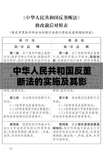 中华人民共和国反垄断法的实施及其影响  第1张