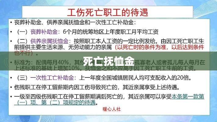 死亡抚恤金，对逝去生命的尊重与补偿的探讨  第1张