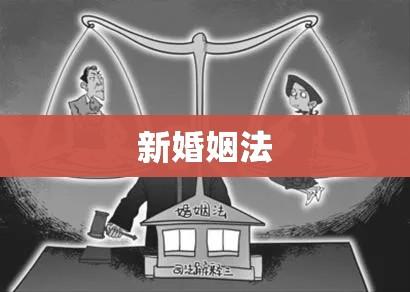 中国新婚姻法，迈向公正平等婚姻制度的步伐  第1张