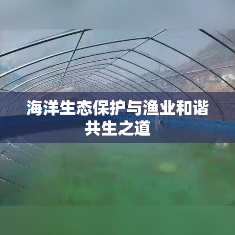 渔业法，守护海洋生态与渔业和谐共生之道  第1张