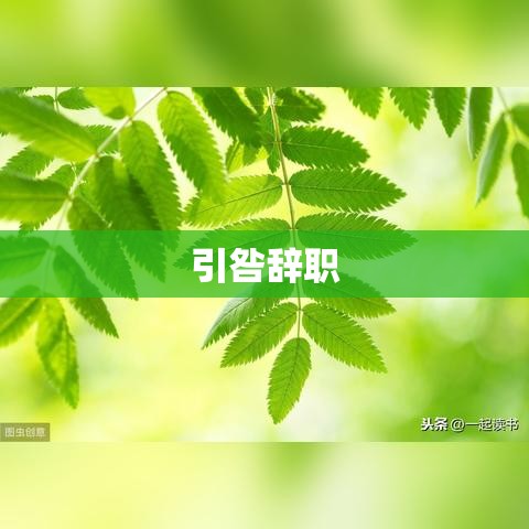 探究引咎辞职背后的深层含义  第1张