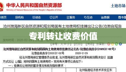 专利转让收费价值与影响分析  第1张