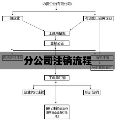 分公司注销流程全面解析  第1张