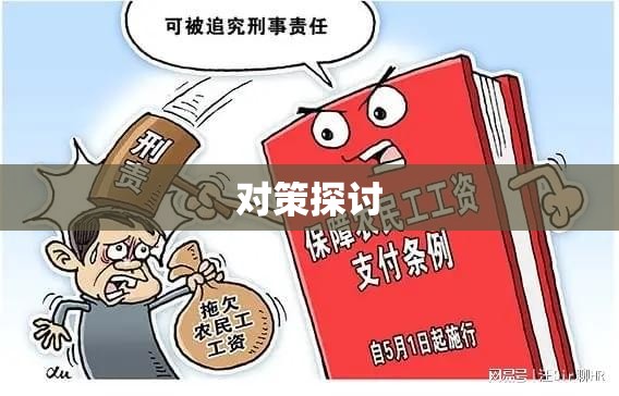 农民工恶意讨薪现象，挑战与对策探讨  第1张