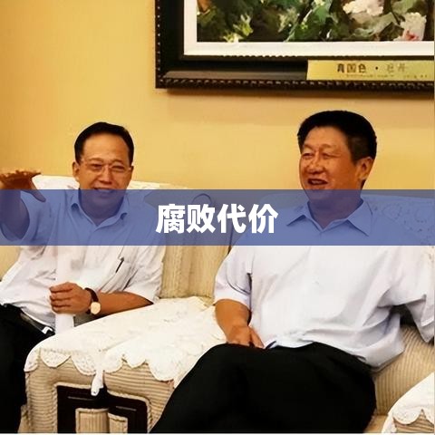 腐败代价与社会影响，揭露收受贿赂的丑陋真相  第1张