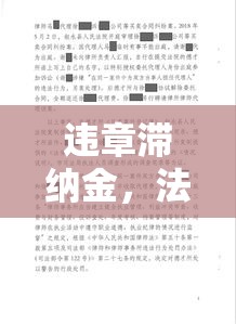 违章滞纳金，法律规章的警示与反思深度探讨  第1张