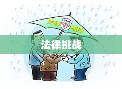 再婚财产，法律、情感与现实的挑战  第1张