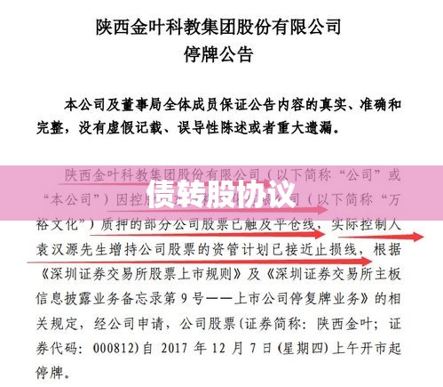 债转股协议，重塑企业债务与股权关系的探索之路  第1张