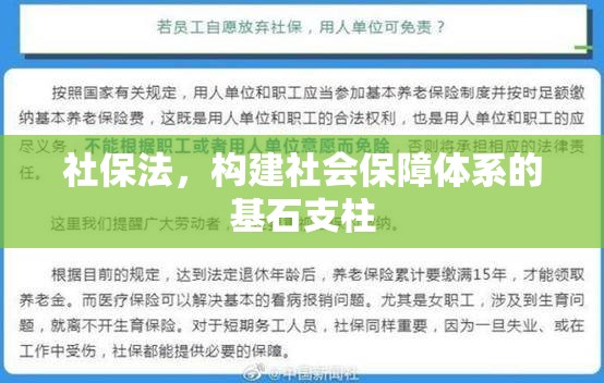 社保法，构建社会保障体系的基石支柱  第1张