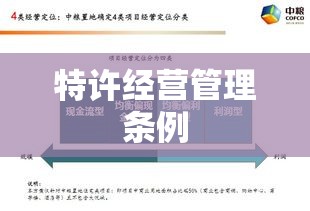 特许经营管理条例下的规范化、系统化经营体系构建  第1张