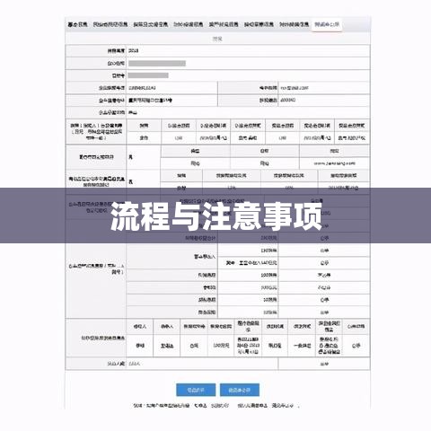 工商营业执照申请全攻略，流程、要点与注意事项详解  第1张