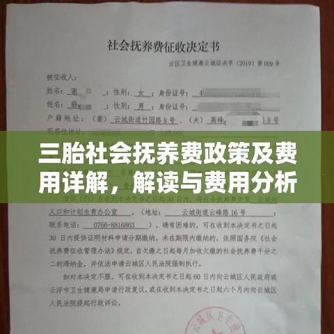 三胎社会抚养费政策及费用详解，解读与费用分析全攻略  第1张