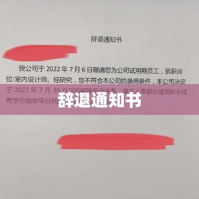 辞退通知书详解与相关事项处理指南  第1张