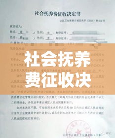 社会抚养费征收决定书的深度探讨  第1张