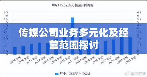 传媒公司业务多元化及经营范围探讨  第1张