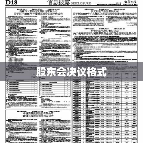 股东会决议格式详解与操作指南  第1张