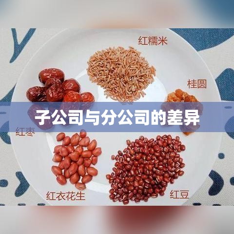 子公司与分公司，核心差异解析  第1张