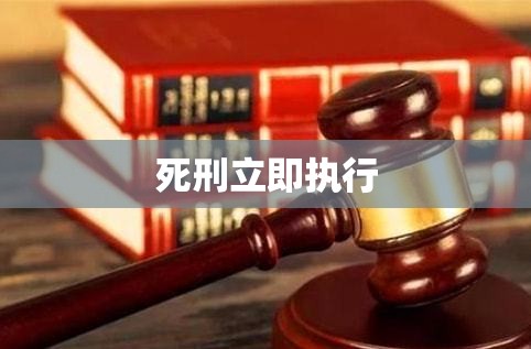 死刑立即执行，正义天平与道德考量的探讨  第1张