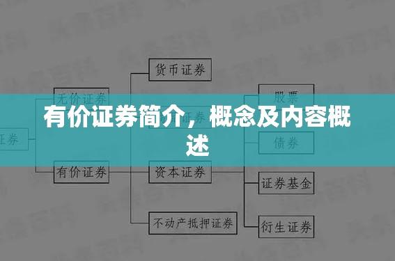 有价证券简介，概念及内容概述  第1张