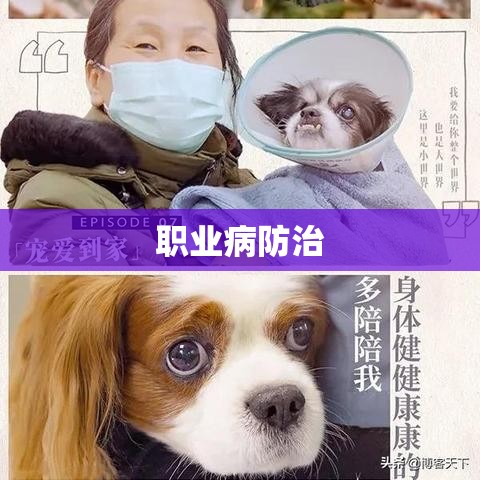 职业病防治，筑牢劳动者健康的守护屏障  第1张