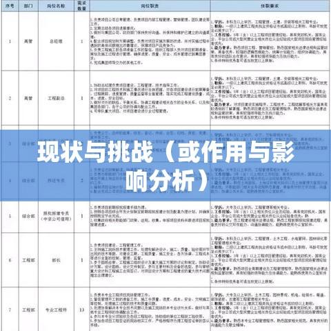 国有独资公司的独特地位、历史沿革、现状与挑战，作用与影响分析  第1张