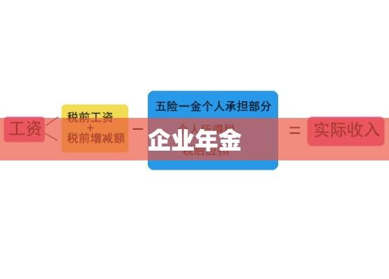 企业年金与个人所得税的交互关系及其影响分析  第1张