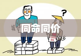 同命同价，追求公平与平等的价值理念之路  第1张