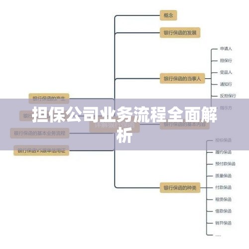 担保公司业务流程全面解析  第1张