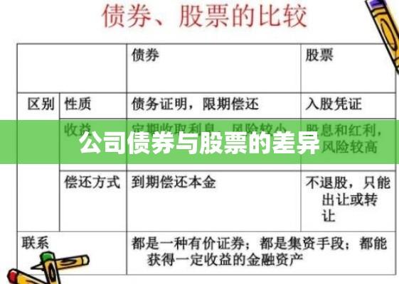 公司债券与股票的差异解析  第1张