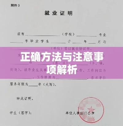 就业证明撰写指南，正确方法与注意事项解析  第1张