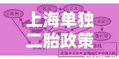 上海单独二胎政策细则解读，实施影响及政策解读  第1张