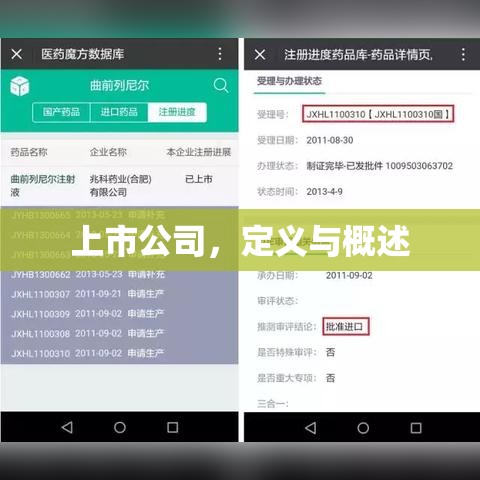 上市公司，定义与概述  第1张