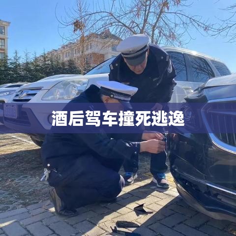 酒后驾车撞死逃逸，道德败坏与法律不容的极端恶行  第1张