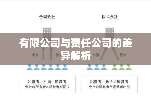 有限公司与责任公司的差异解析  第1张