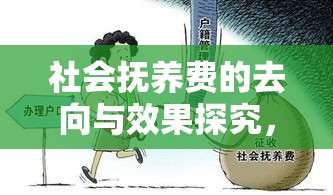 社会抚养费的去向与效果探究，抚养了谁？  第1张