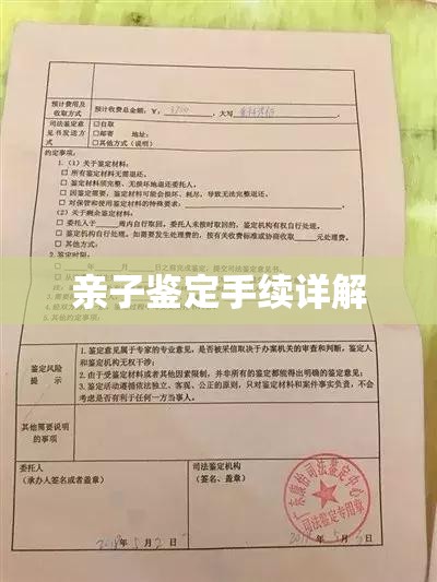 亲子鉴定手续详解，保障权益，了解流程全攻略  第1张