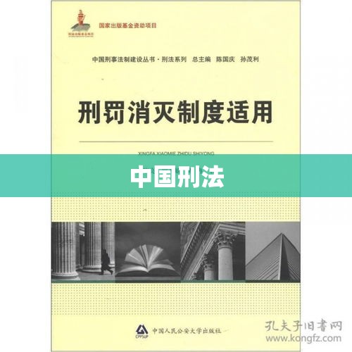 中国刑法，构建法治社会的基石  第1张