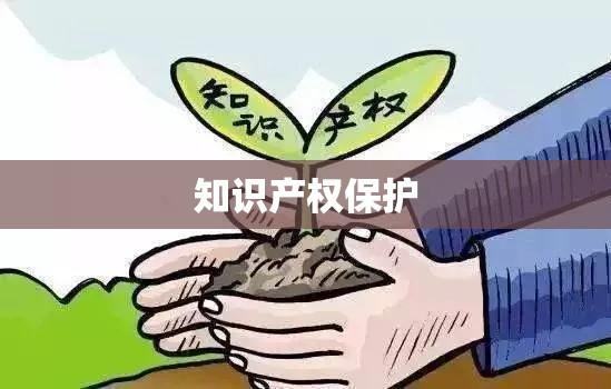 知识产权保护与创新社会的基石构建  第1张