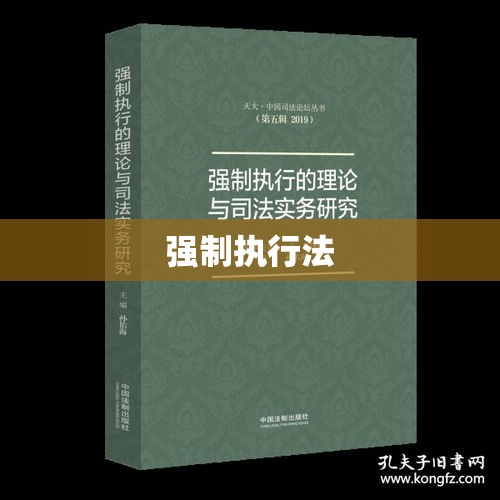 强制执行法的探索与实践，深化理解与实务应用  第1张