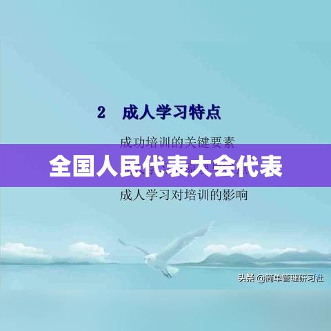 全国人民代表大会代表的角色与职责解析  第1张