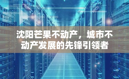 沈阳芒果不动产，城市不动产发展的先锋引领者  第1张